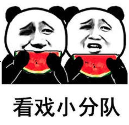 发一个吃瓜的表情回复什么意思